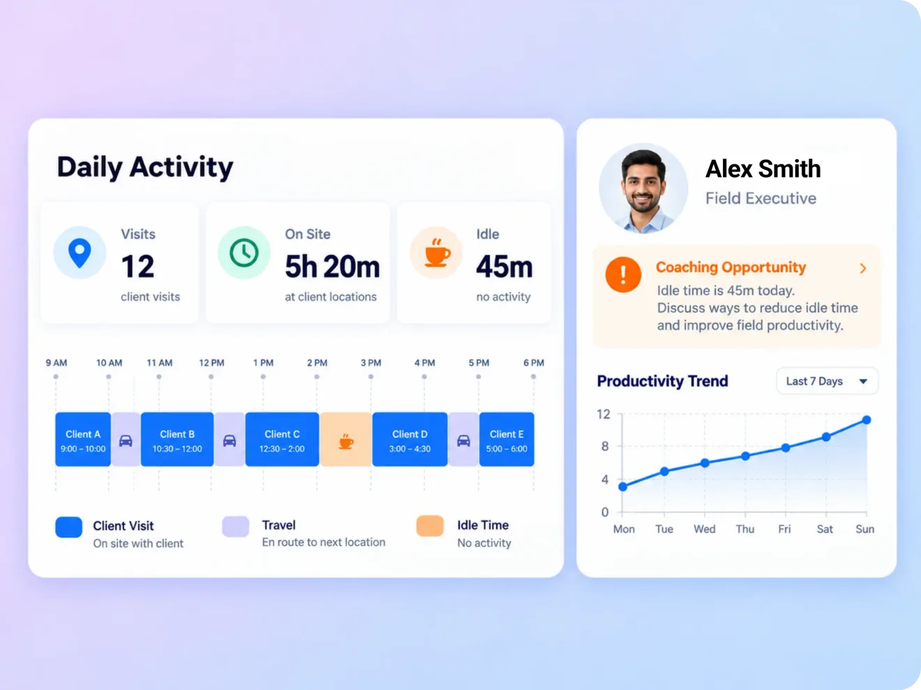 Daily field activity with visits, time on site, idle time and productivity trend
